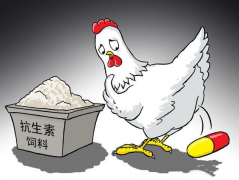 食品抗生素層出不窮，如何檢測？