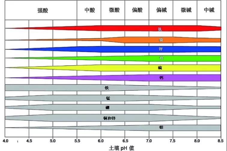 土壤PH速測(cè)儀，快速測(cè)PH